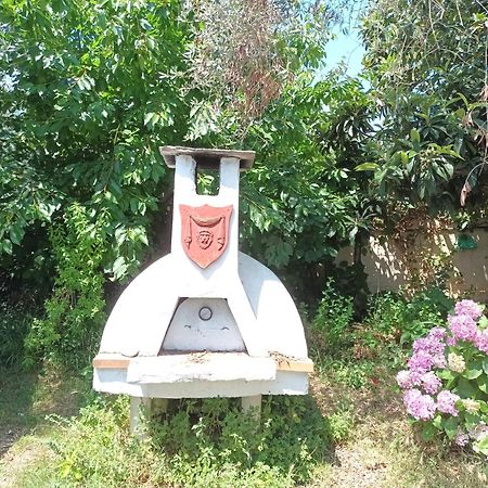 Olive Garden Villas And Apartments Khrysi Ammoudia Rom bilde