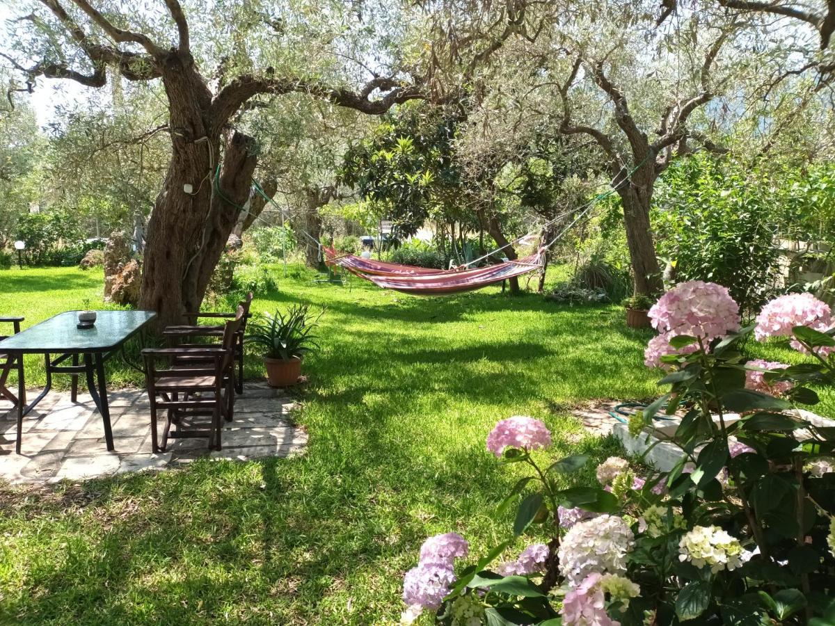 Olive Garden Villas And Apartments Khrysi Ammoudia Rom bilde