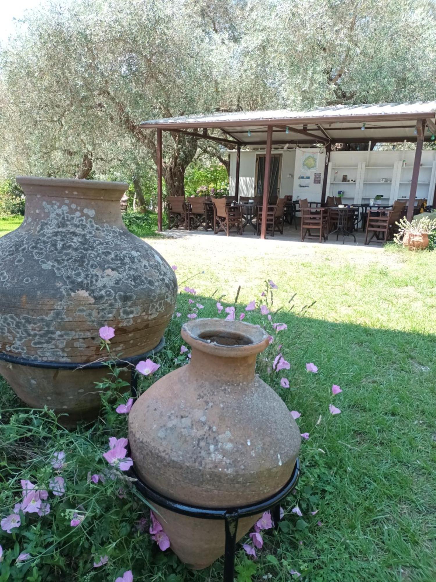 Olive Garden Villas And Apartments Khrysi Ammoudia Rom bilde